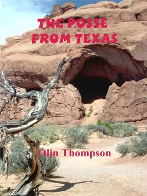 cover image of The Possie from Texas